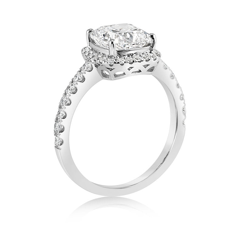 The Mollii - 14K Gold Ring