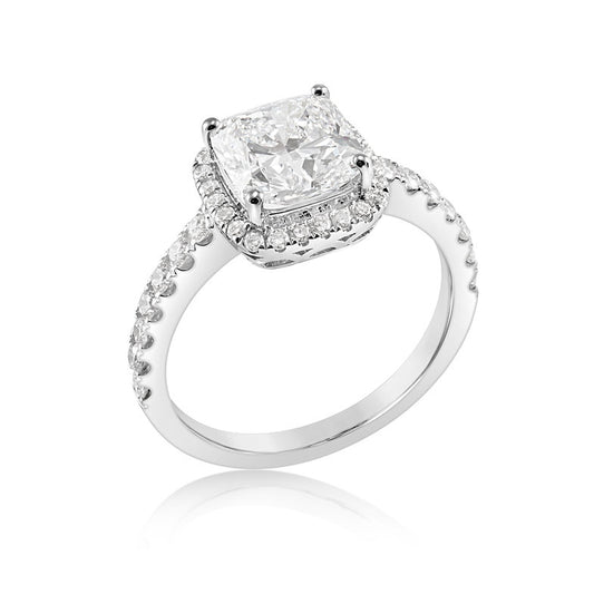 The Mollii - 14K Gold Ring
