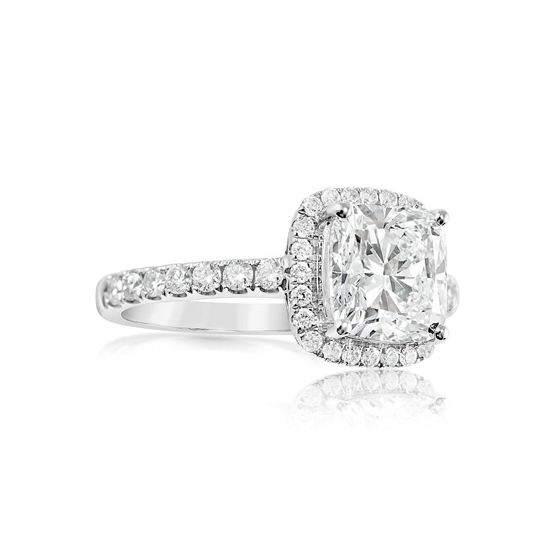 The Mollii - 14K Gold Ring