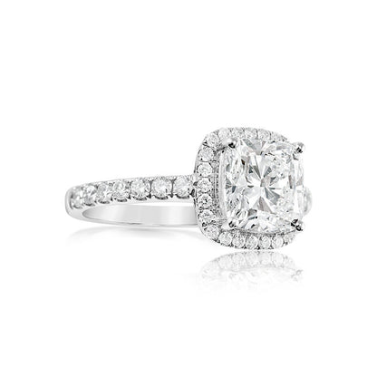 The Mollii - 14K Gold Ring