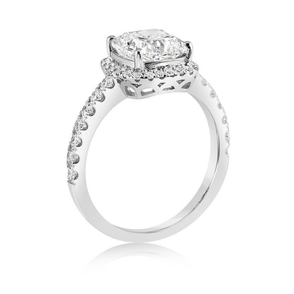 The Mollii - 14K Gold Ring