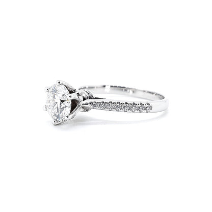 The Sarii - 14K Gold Ring