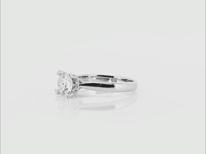 The Trudii - 14K Gold Ring