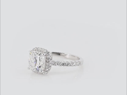 The Mollii - 14K Gold Ring