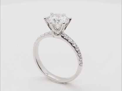 The Yancii - 14K Gold Ring